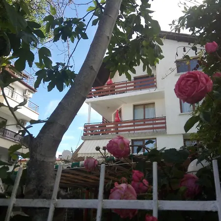 Oasis Kiten