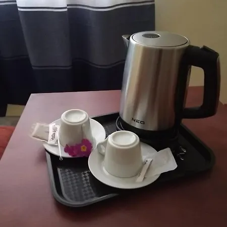 Oasis ゲストハウス