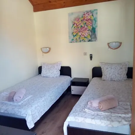 Oasis 2* كيتن